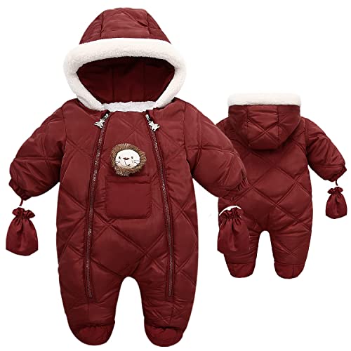 Fairy Baby Infant Baby Winter Snowsuit Coat Romper Hoodied Footie Outwear Warm Jumpsuit for Girls Boys 9-12 Months