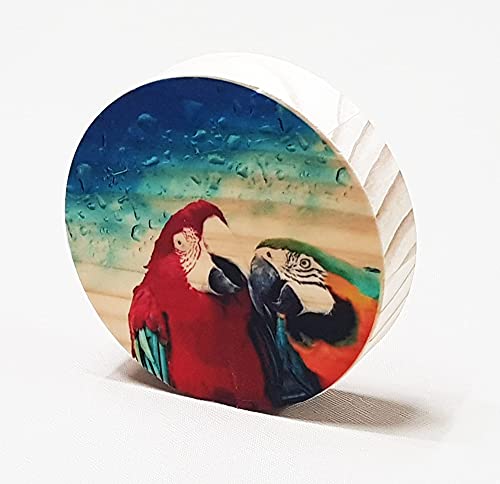 [Incal] Dry Rub-Off Decal Film For Inkjet Printer : 5 Sets, A4(8.27 Inch X11.7 Inch) - Premium Printable Dry Rub On Transfer; Diy Hobby Craft, Customized Transfer #TOP3