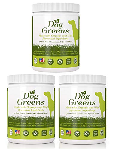 Image showcasing Top 10 Fiber Rich Dog Foods That Will Keep Your Pooch Healthy and Happy ...