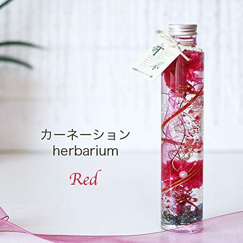 保障できる ハーバリウム 母の日カーネーションred Pink ラメ No 32 フラワー ガーデン Royalenfielddevoto Com