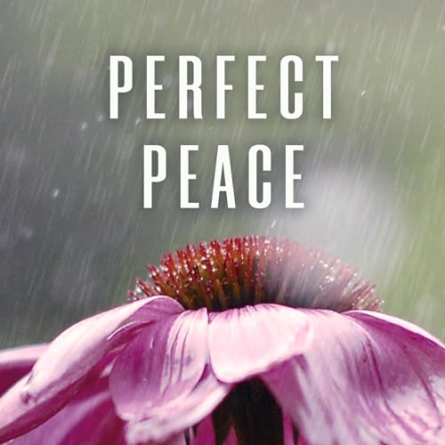 A Year of Perfect Peace