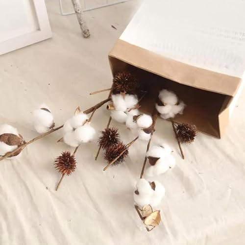 Ramas naturales secas de 37.5 cm para decoración 5 piezas miniatura 5