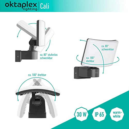 LED Außenstrahler Oktaplex Cali 30W mit IP65 Schutz und warmweißem Licht