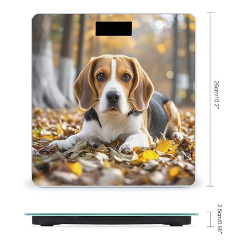 Báscula digital Cute Beagle para peso corporal miniatura 2