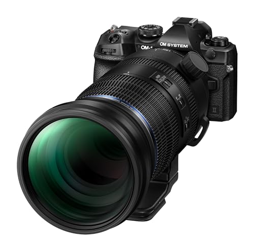 Teleobjetivo Ultra Zoom OM SYSTEM M.Zuiko Digital ED 150-600mm: Compatible con Cámaras Micro Cuatro Tercios. - Fernando Cortés