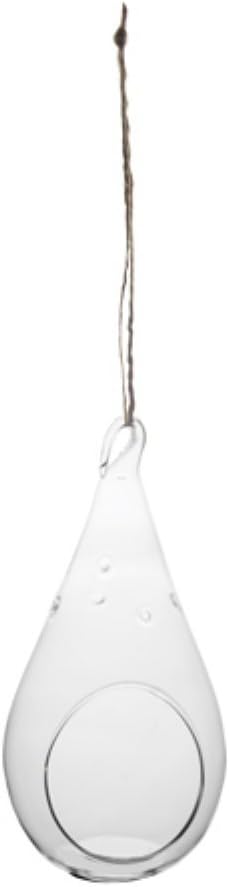 Syndicate Home & Garden Teardrop Hanging Terrarium