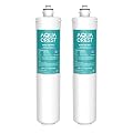 AQUA CREST H-104 19000 Gallons, Replacement Cartridge for Everpure H-104, EV961211, EF-3000, PBS-400, OW200L, 6TO-BW, MR-100, MR-225, EV9262-71, EF9857-00, 0.5 Micron, Pack of 2