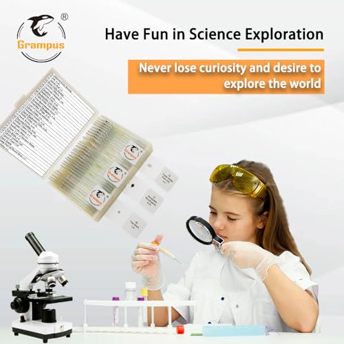 Image of 30 Prepared Microscope Slides with Specimens for Kids Students - Animals Plants Insects Microorganism, for Biological Science Lab, Children's Science Education, Homeschool