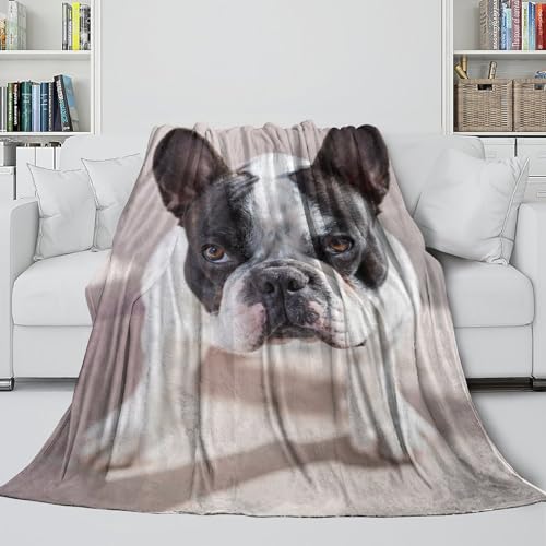 Couverture bouledogue français 3D infroissable, plaid compact en microfibre douce