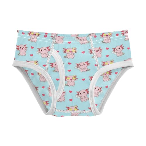 Boys' Exclusive Briefs Toddler Underwear 95% Combed Cotton Boxerbriefs 2T Piggy and Heart Pattern 2