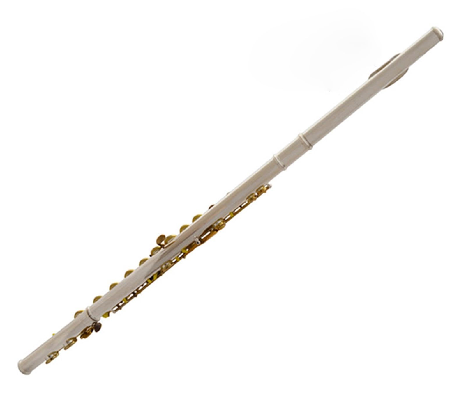 Flauto Flauto traverso professionale bicolore placcato argento in Do
