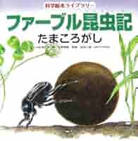 ファーブル昆虫記(全6冊) (科学絵本ライブラリー) ファーブル昆虫記 もんしろちょう (科学絵本ライブラリー