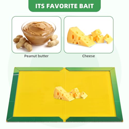 KK STRONEX Sticky Traps 6 Packs Large Extra Strong Sticky Trap - Sticky Pads Board Gum Pads for Indoor Outdoor, Home Kitchen, Garage, Garden