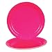 Hot Pink Dinner Paper Plates (25 pc)