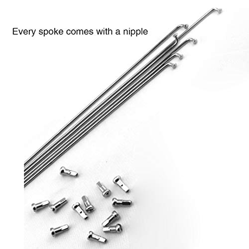 FREAHAP R Bicycle Spokes Rustproof Steel Mountain Bike Spokes with Nipples 200mm