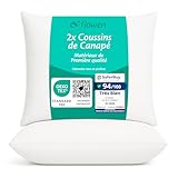Flowen Coussin Canape 50x50 Lot de 2 Oreillers Decoratif Accessoires pour Sofa Decoration Aesthetic pour Salon et Exterieur Antiallergiques et Anti Acariens avec Taie d'oreiller en Microfibre