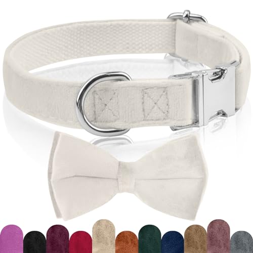 KTWSUEF Collare Cane, papillon cane Collare per Cani Velluto, Collare per Cani Comodo Resistente, Papillon per Cani Rimovibile Regolabile, Per Matrimoni, Compleanni, Eventi Festivi