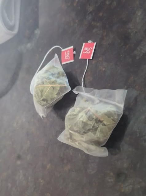 12 Travel Tea Bags with 5 Gram Of dried Fig leaves, No Chemical, Spray Used