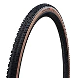 Schwalbe