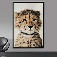 Framed Canvas Wall Art Cheetah Animals Cheetah Dramatic Living Room Multicolor Photography - 16x24 inches