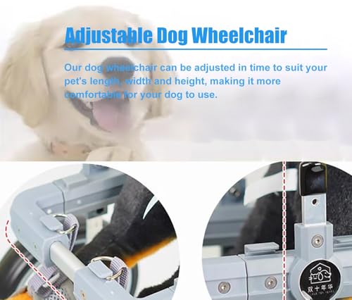 Silla de ruedas para perros discapacitados, carrito ajustable de dos ruedas con bandas reflectantes 5