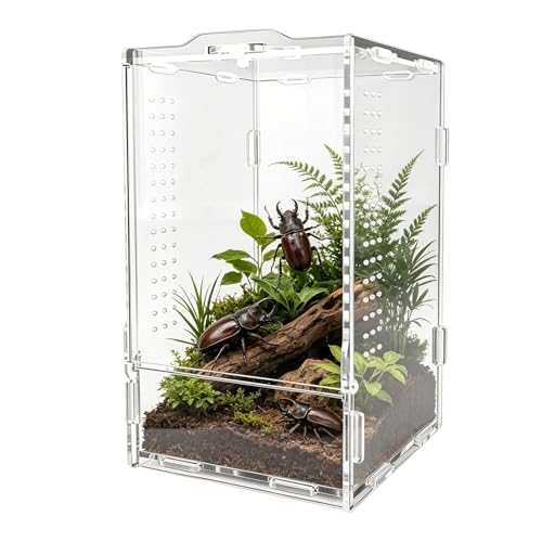 Terrarium pour sauteurs avec aération optimale pour boîte d'alimentation sûre