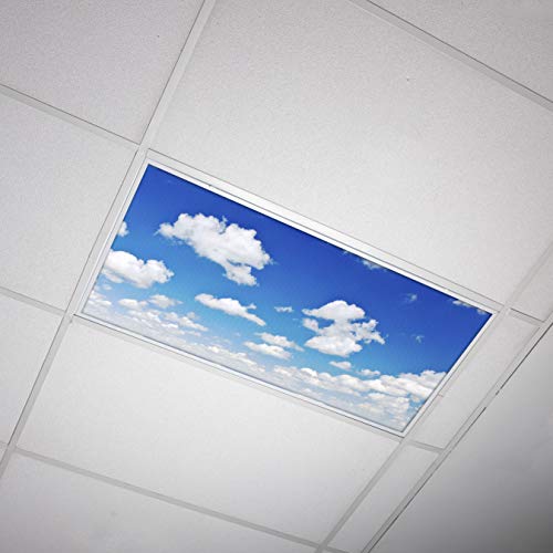 Octo Lights - Fluorescent Light Covers - 2x4 Flexible Ceiling Light Diffuser Panels