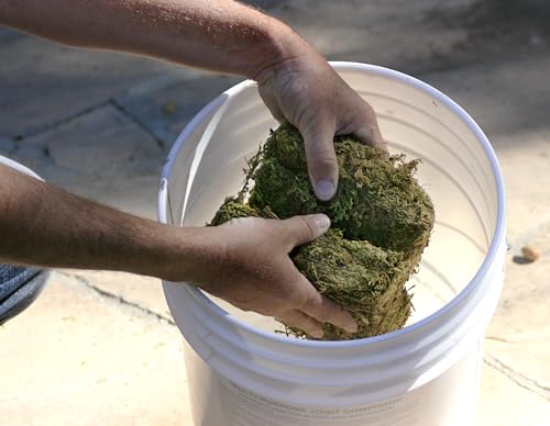 SuperMoss (23825) Mountain Moss Dried, Natural, 5lb Small Bale