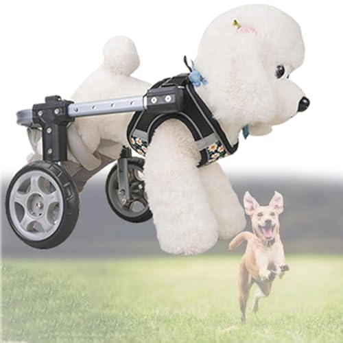 Silla de ruedas ajustable para perros pequeños con soporte de patas traseras