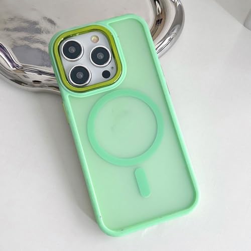 Coque iPhone 15 Pro Max givrée de luxe au fini mat premium et élégant