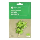 Planeta HUERTO | Semillas Ecológicas de Menta Piperita – Planta Aromática con Sabor Refrescante, Ideal para Infusiones y Postres