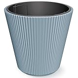 Prosperplast