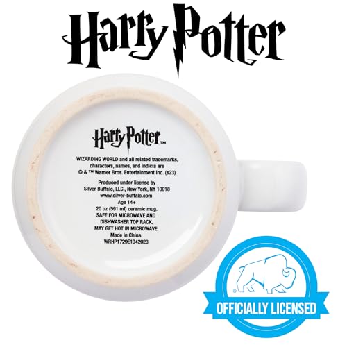 Taza de cerámica Silver Buffalo Harry Potter 20 onzas miniatura 4