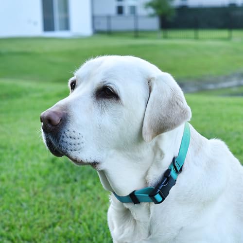 Image of Dogline Biothane Waterproof Dog Collar with Quick Release Buckle Strong Coated Nylon Webbing with Odor- Proof for Easy Care Easy to Clean Fits Small Medium Large Dogs, Cyan Blue 1 inch W 15-25 inch L