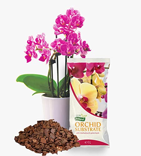 ⭐ Garden Lux Garden Lux Substrat de luxe pour orchidées Phalaenopsis – Terre de qualité supérieure pour phalaenopsis avec 6 mois d'engrais naturel à base de bœuf de pin – 1 litre