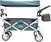 Push Pull Wagon for Kids, Foldable with Sun/Rain Shade (Teal)