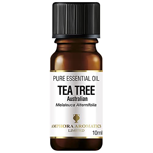 Tea Tree Essential Oil 10ml (Australian) – 100% Pure & Undiluted – for Skin, Acne, Hair, Diffusers & Cleaning | Vegan | Amphora Aromatics