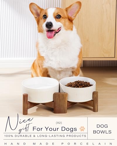 Getstar Ceramic Dog Bowls with Acacia Wood Stand, 30 fl oz, Set of 2, Dog Food Bowl, Cat Bowls (6.5 inches) (Vintage White) - Image 3