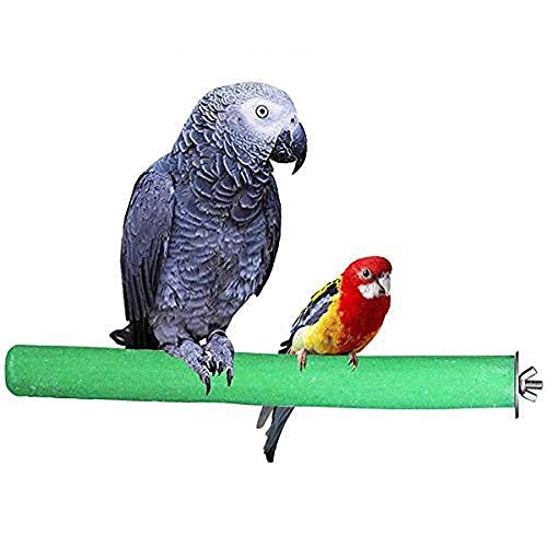 Western Era Safe Wooden Sand Perch/Stand/Toy for Birds, Parrot (Light Weight) (Size - 12") (B097PFWNC2) Amazon Price History, Amazon Price Tracker