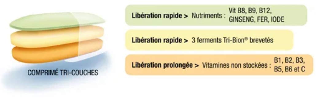 Bion 3 - VITALITE Energie Continue 60 Comprimes - Lot de 2 Boites de 60 Comprimés (2V)