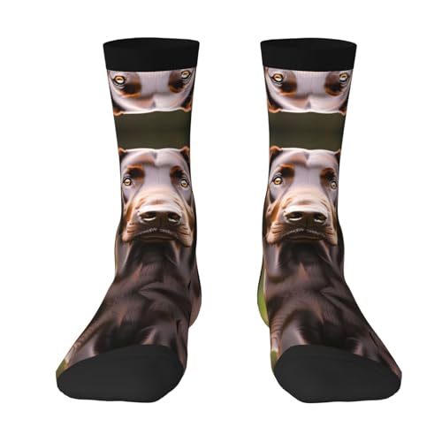 FRESQA Calcetines marrones de Labrador Retriever a la moda a media pantorrilla, calcetines de alta elasticidad para adultos, ideales para ropa casual y deportiva, Marrón (Brown Labrador Retriever),