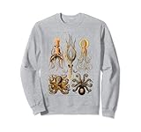 Photo Gallery octopus ocean zoology teuthology biologists sailing felpa Photo Gallery octopus ocean zoology teuthology biologists sailing felpa