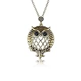AKOAK 5X Portable Vintage Magnifying Glass Pendant Necklace for Library,Reading Fine Print,Zooming,Increase Vision,Jewelry and Gift (Owl)