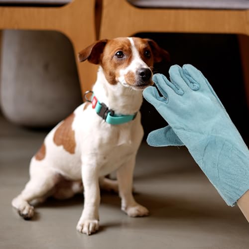 Guantes antimordeduras para perros y gatos, cuero resistente de vacuno 5