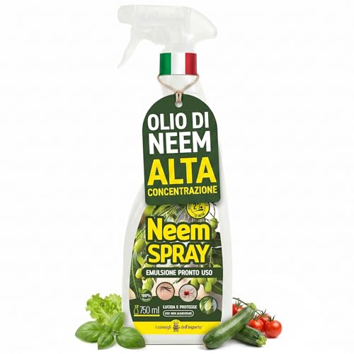 olio di neem per piante 750 ml – neem oil spray pronto uso per orto e giardino – trattamento naturale contro afidi, cocciniglia e moscerini
