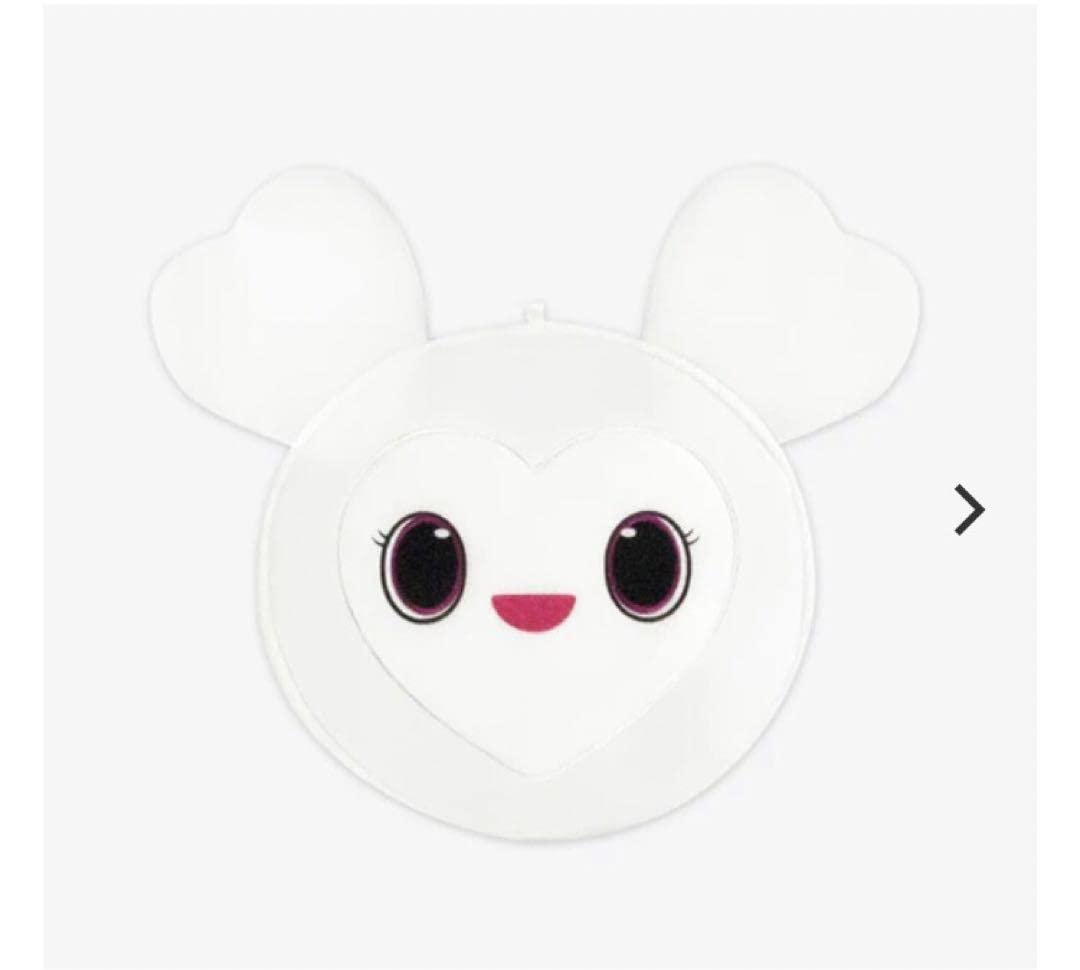 TWICE ダブリーセット うちわカバー付き！