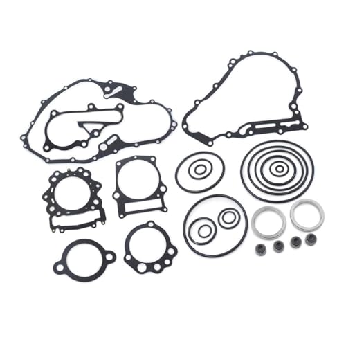 Joints de culasse haut rendement pour moteur Raptor 700