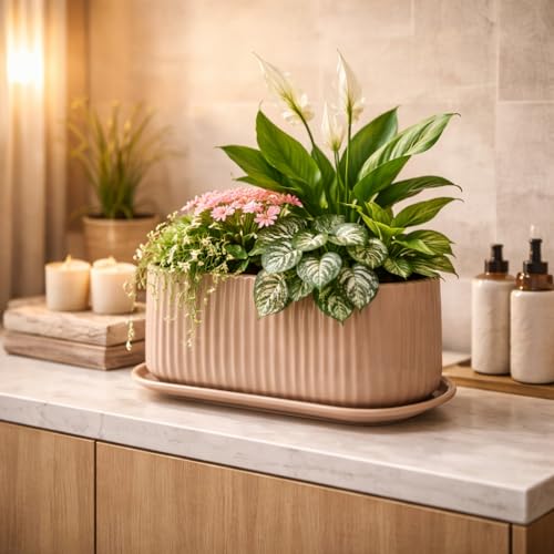 Image of Xtore Ceramic Ribbed Planter with Tray | Matte Finish | for Home & Office Decor - (Pack of 1, Pastel Brown, Planter ONLY)
