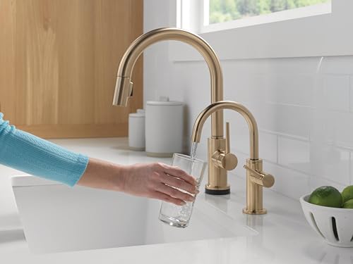 Image of Delta Contemporary Beverage Dispenser Faucet, Brushed Gold Drinking Water Kitchen Sink Faucet, Champagne Bronze 1930-CZ-DST