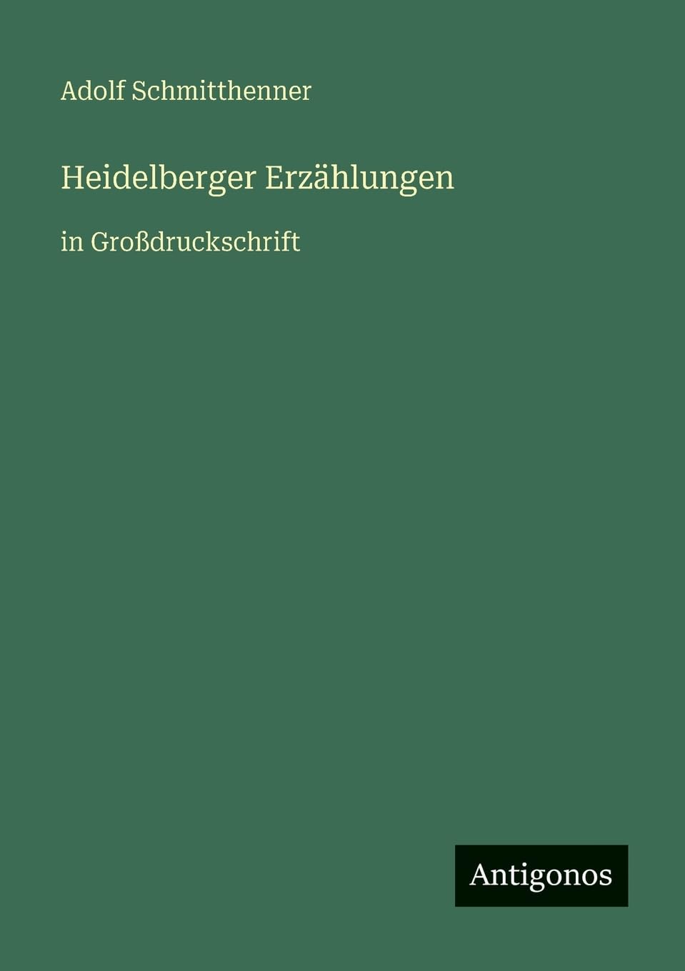 Heidelberger Erzählungen: in Großdruckschrift